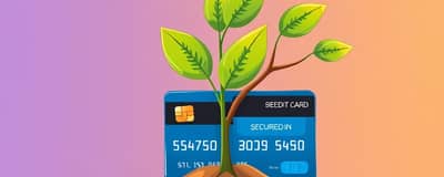 The Ultimate Guide to Secured Credit Cards